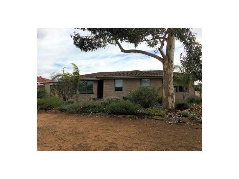 3 Walker Avenue, Mannum SA 5238