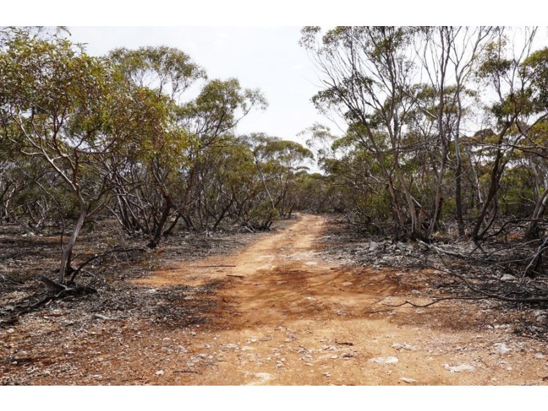 9348 Murraylands Road, Mannum SA 5238