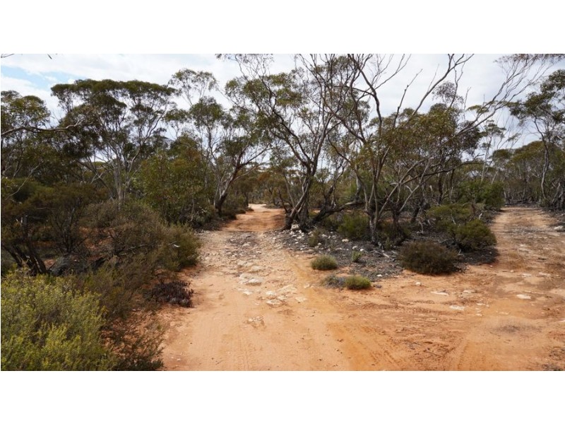 9348 Murraylands Road, Mannum SA 5238