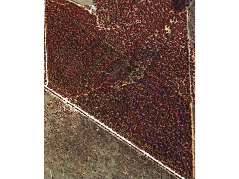 9348 Murraylands Road, Mannum SA 5238