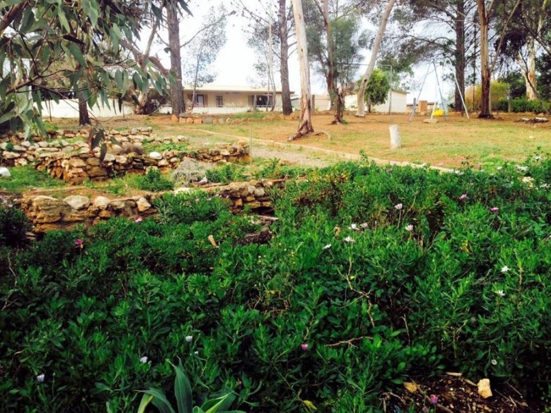 3 Asmus Street, Mannum SA 5238