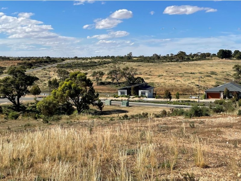 17 Spoonbill Court, Mannum SA 5238