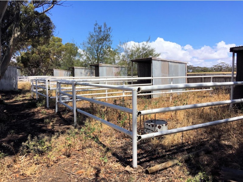 Lot 1 West Park Road, Bute SA 5560