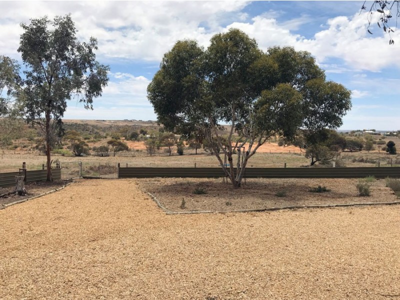 83 Gass Street, Mannum SA 5238