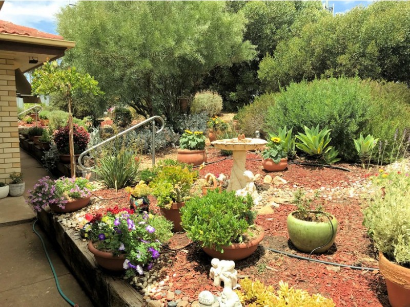 83 Gass Street, Mannum SA 5238