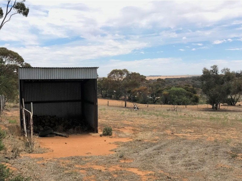 83 Gass Street, Mannum SA 5238