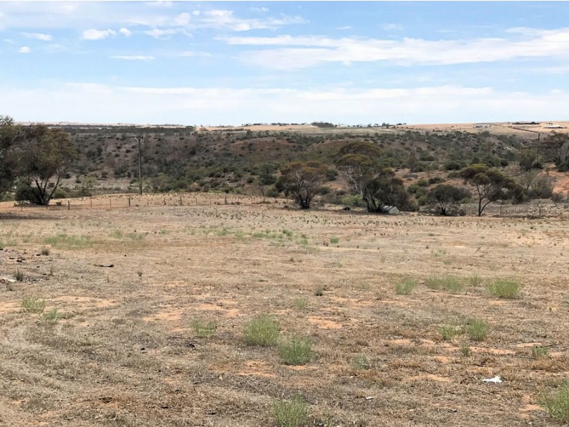 83 Gass Street, Mannum SA 5238