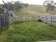 One Tree Hill SA 5114