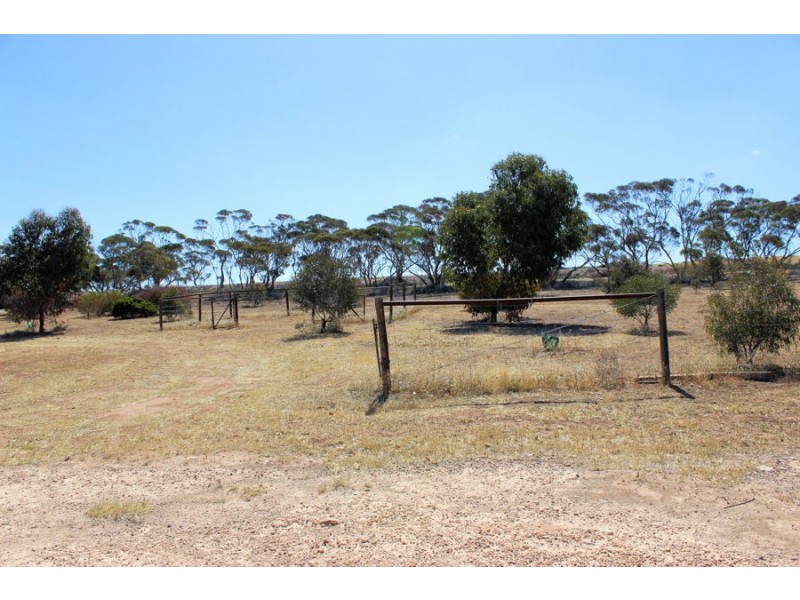 104 Ridley Road, Mannum SA 5238