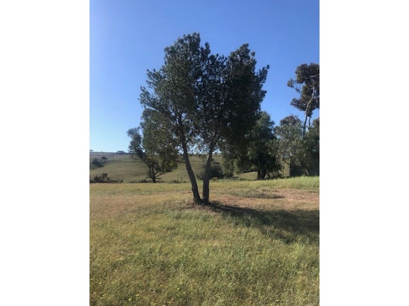 3221 Purnong Road, Purnong SA 5238