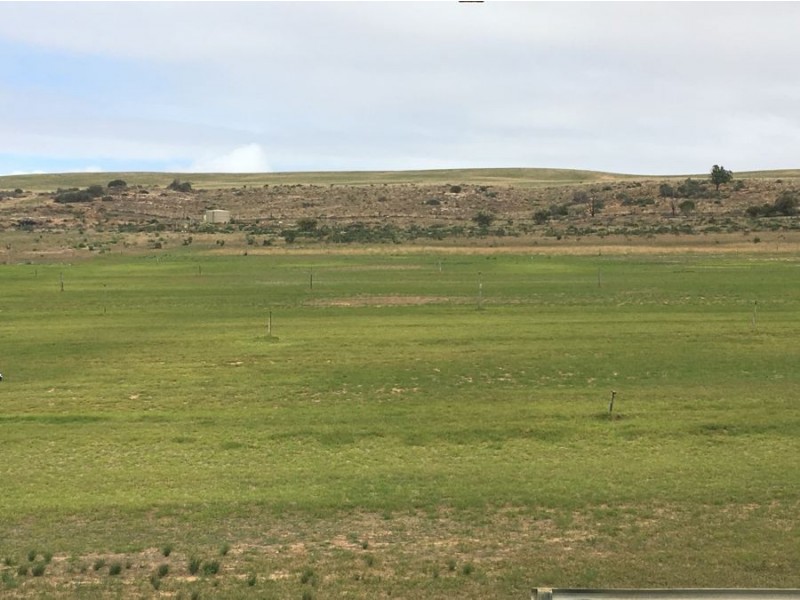 4884 Angas Valley Road, Walker Flat SA 5238