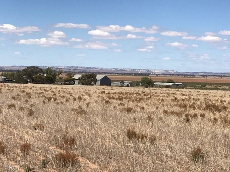 Lot 2 Burnsfield Road, Snowtown SA 5520