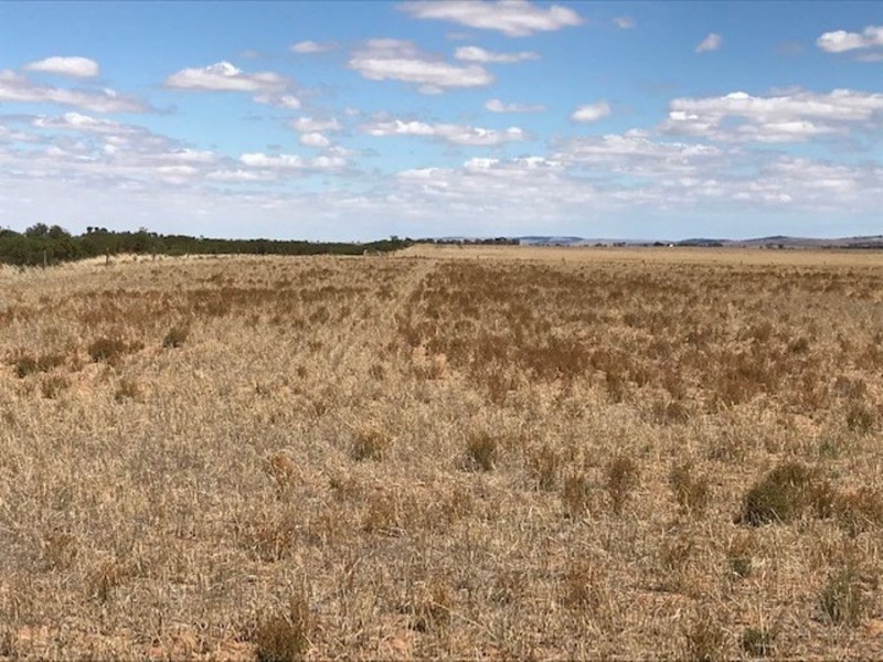 Lot 2 Burnsfield Road, Snowtown SA 5520