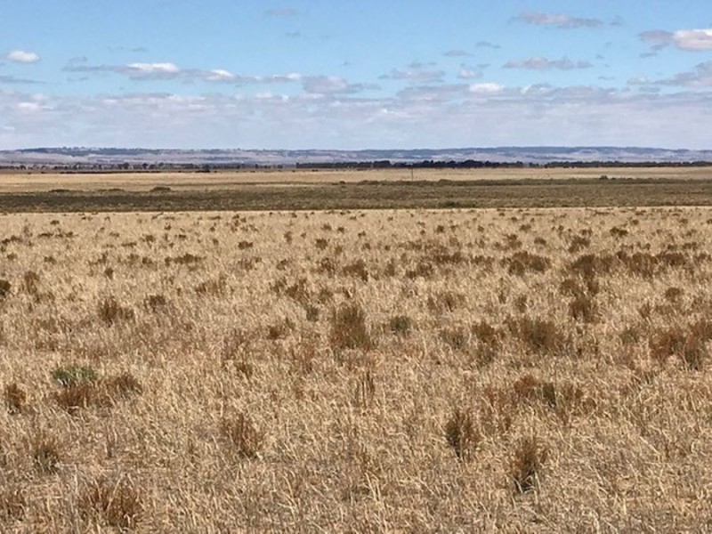 Lot 2 Burnsfield Road, Snowtown SA 5520