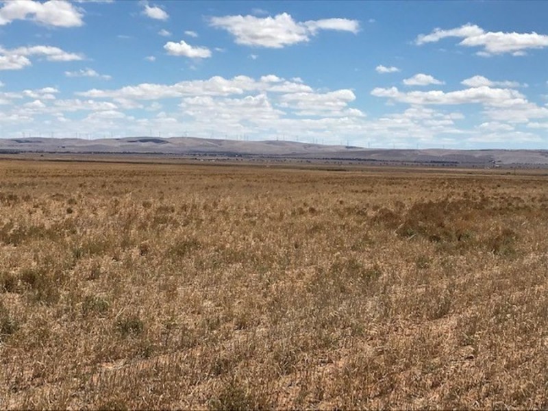 Lot 2 Burnsfield Road, Snowtown SA 5520
