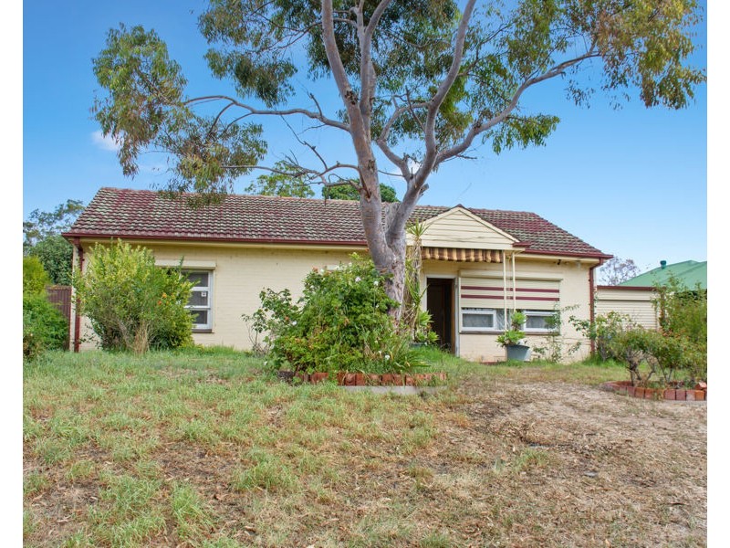 16 Clare Avenue, Athelstone SA 5076