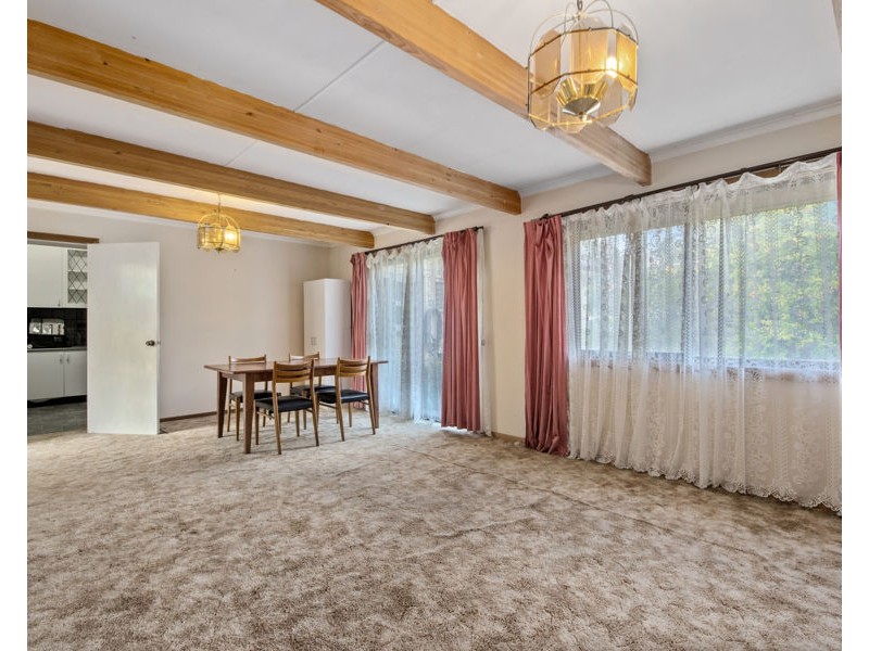 16 Clare Avenue, Athelstone SA 5076