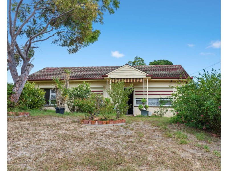 16 Clare Avenue, Athelstone SA 5076