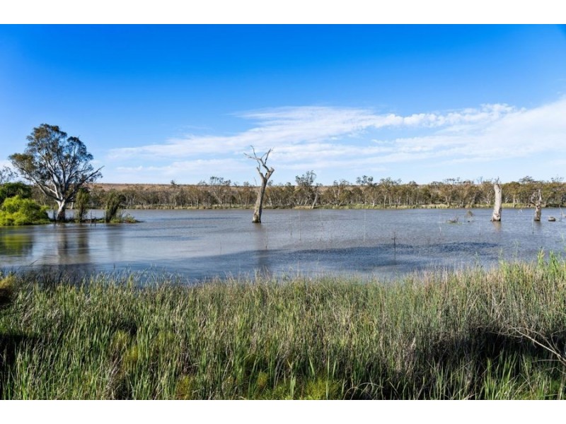 1590 East Front Road, Younghusband SA 5238