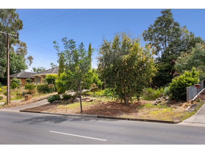 13 Ryan Avenue, Athelstone SA 5076