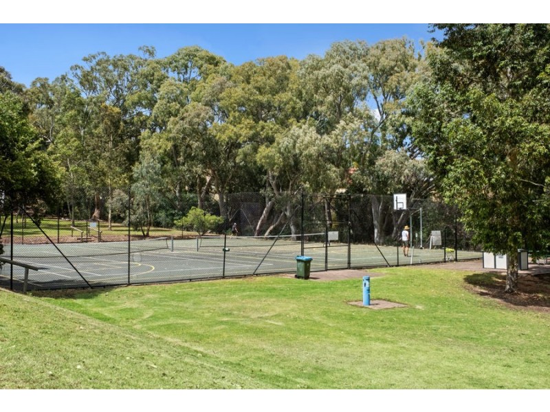 13 Ryan Avenue, Athelstone SA 5076