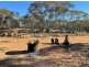 Lot 2 Mallee Road, Walker Flat SA 5238