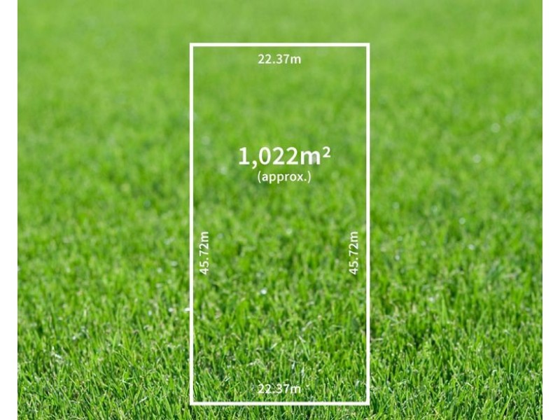 16 Hooking Avenue, Royston Park SA 5070