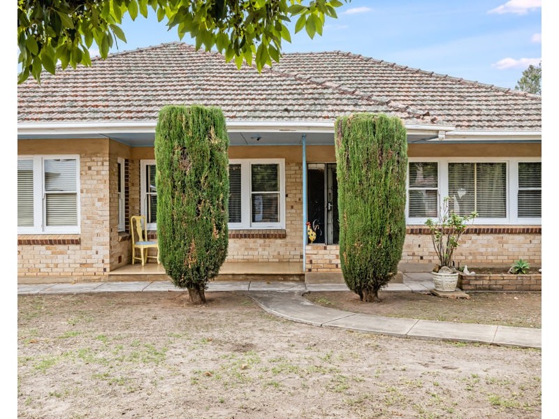 16 Hooking Avenue, Royston Park SA 5070