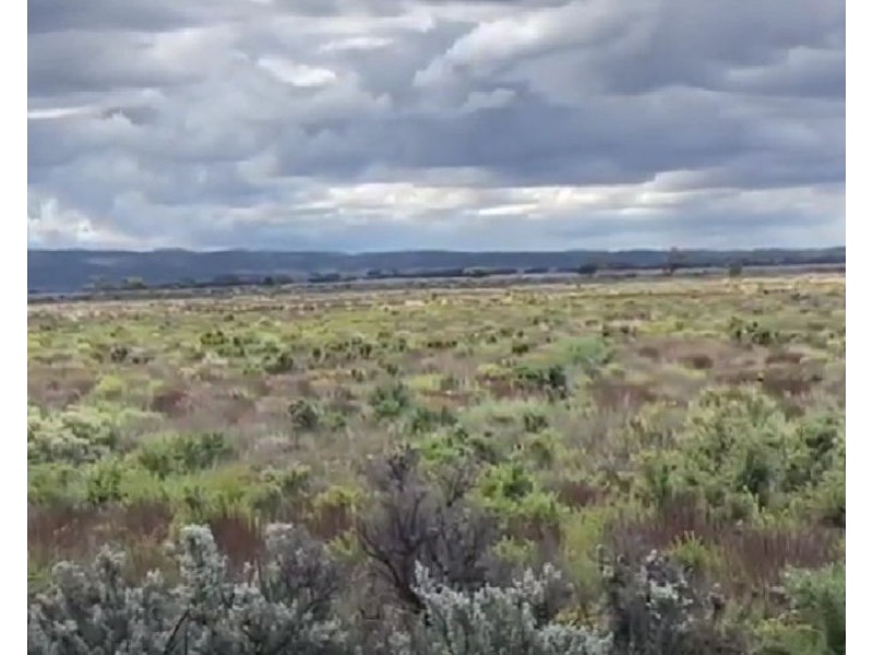 13 BEACH ROAD, Cowell SA 5602