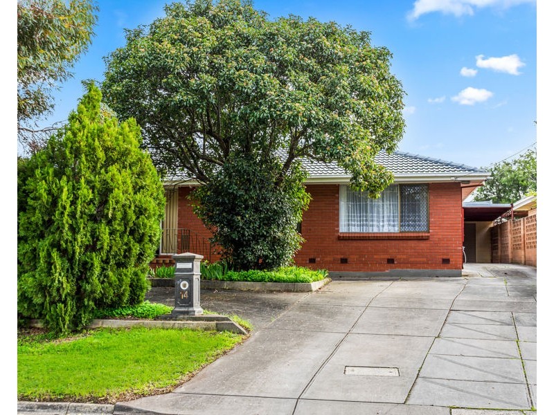 14 Armbuster Street, Hope Valley SA 5090