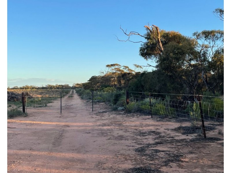 458 Mitchellville Road, Cowell SA 5602