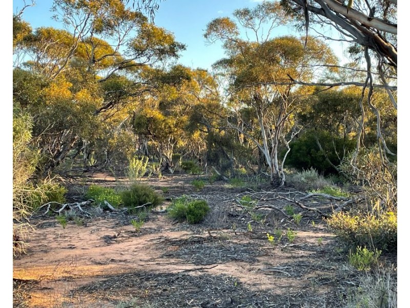 458 Mitchellville Road, Cowell SA 5602