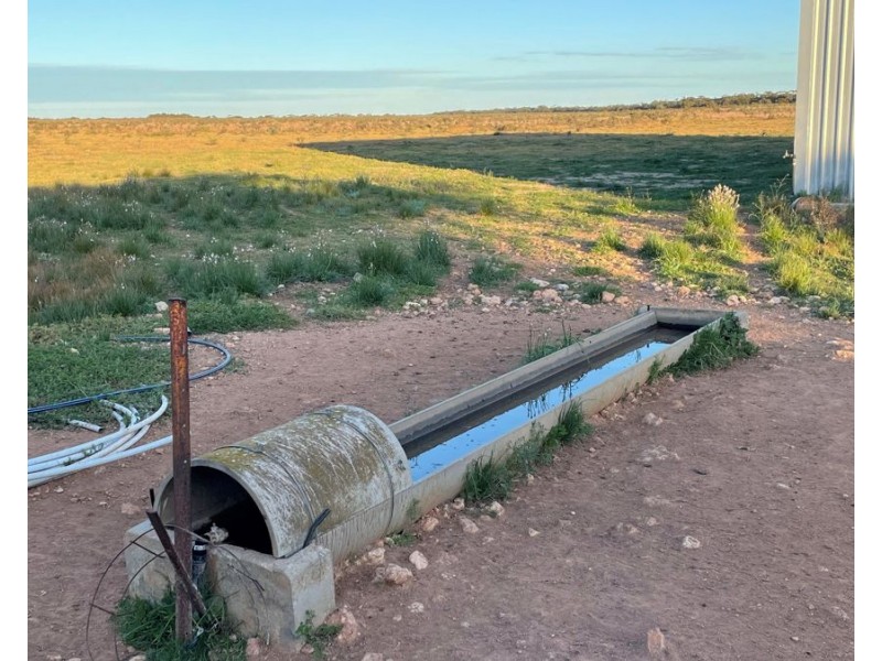 458 Mitchellville Road, Cowell SA 5602