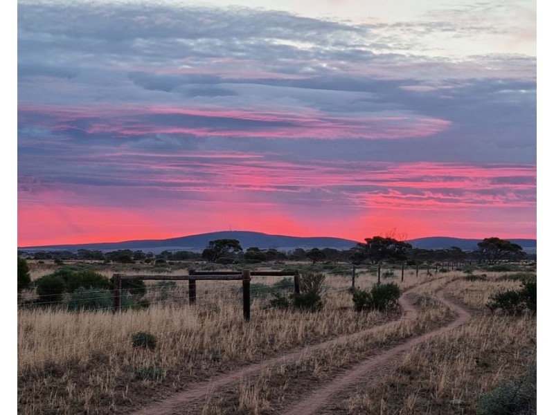 Lot 52 Bluebush Road, Cowell SA 5602