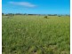 Lot 52 Bluebush Road, Cowell SA 5602