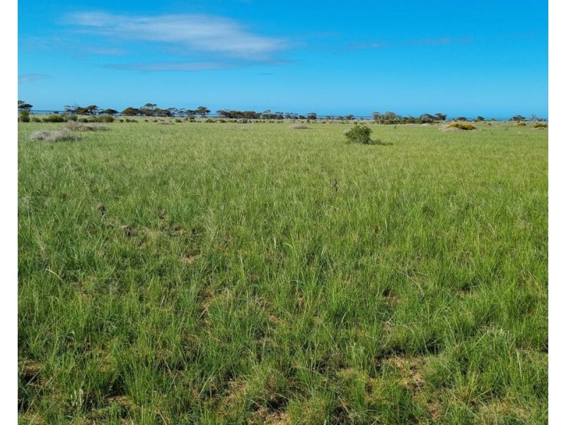 Lot 52 Bluebush Road, Cowell SA 5602