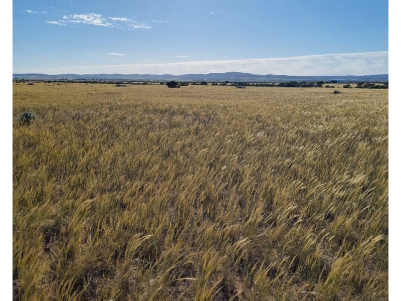 Lot 52 Bluebush Road, Cowell SA 5602