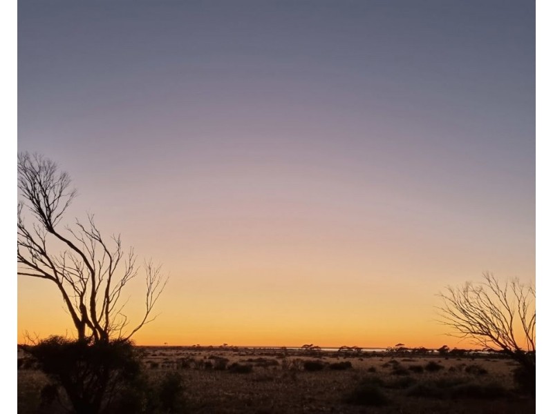 Lot 52 Bluebush Road, Cowell SA 5602