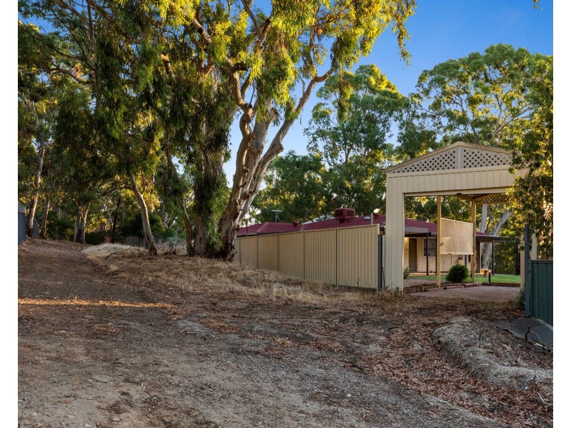 13 Bluegum Court, Athelstone SA 5076