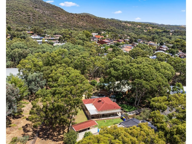 13 Bluegum Court, Athelstone SA 5076