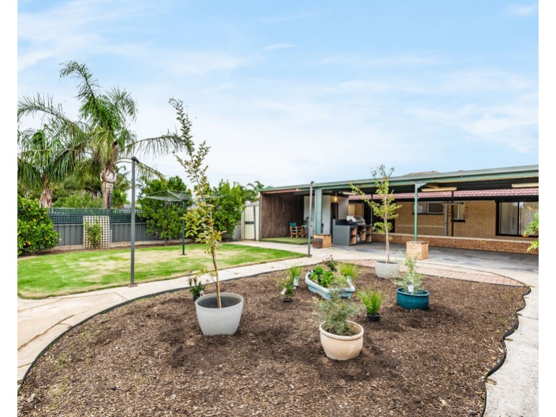 39 Barmera Avenue, Hope Valley SA 5090