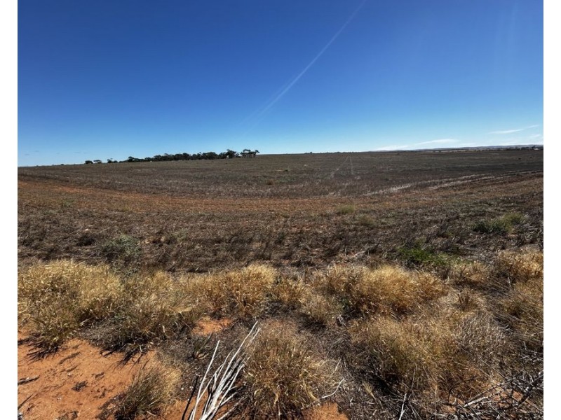 Section 15 Male Road, Mannum SA 5238