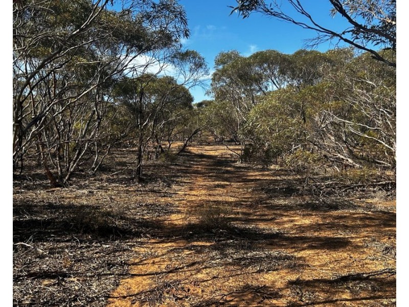 Sections 38,39 & 40 Lincoln Highway, Cowell SA 5602