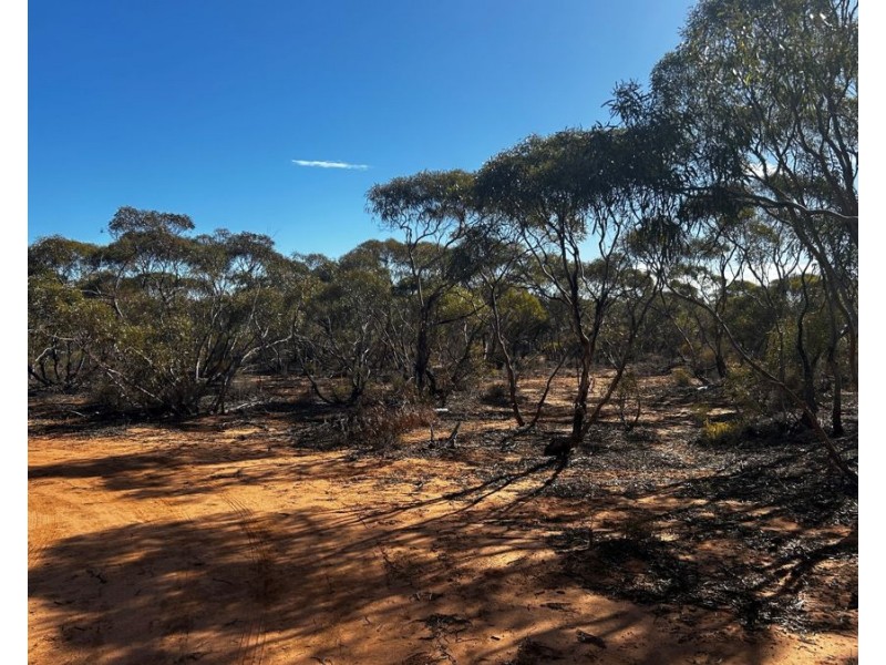 Sections 38,39 & 40 Lincoln Highway, Cowell SA 5602