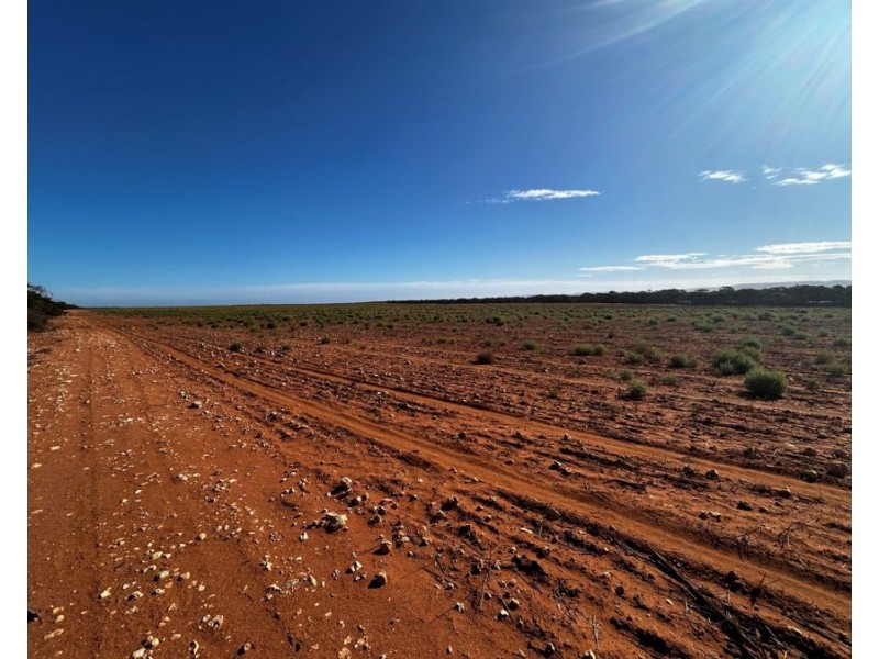 Sections 38,39 & 40 Lincoln Highway, Cowell SA 5602