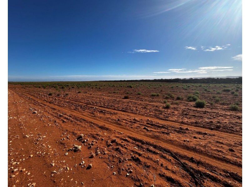 Sections 38,39 & 40 Lincoln Highway, Cowell SA 5602