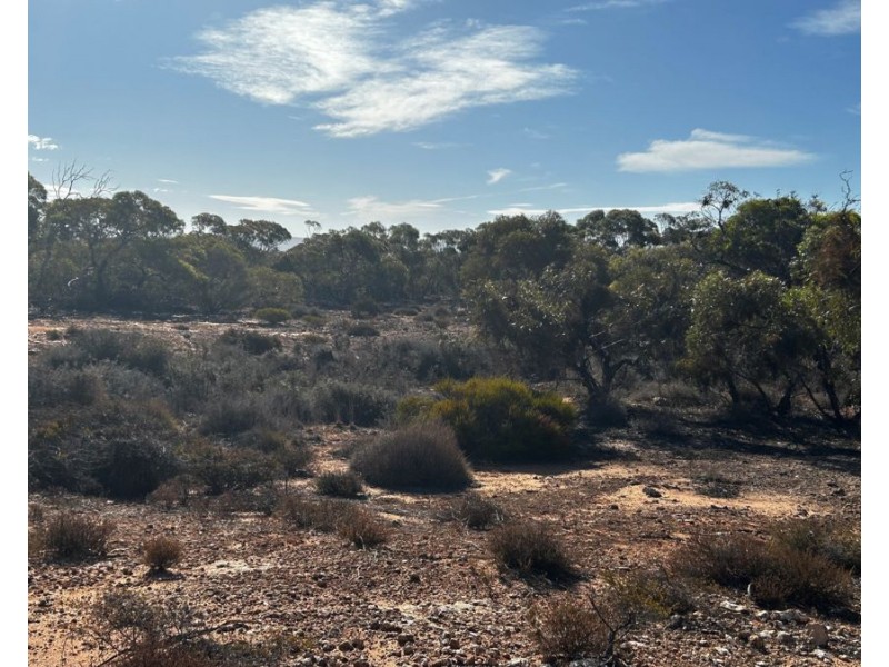 Sections 38,39 & 40 Lincoln Highway, Cowell SA 5602