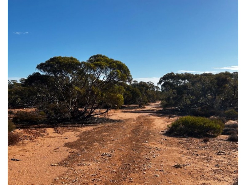 Sections 38,39 & 40 Lincoln Highway, Cowell SA 5602