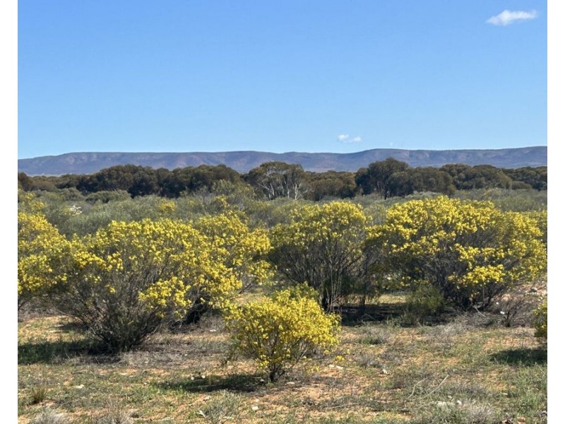Lot 112 Hideaway Road, Cowell SA 5602