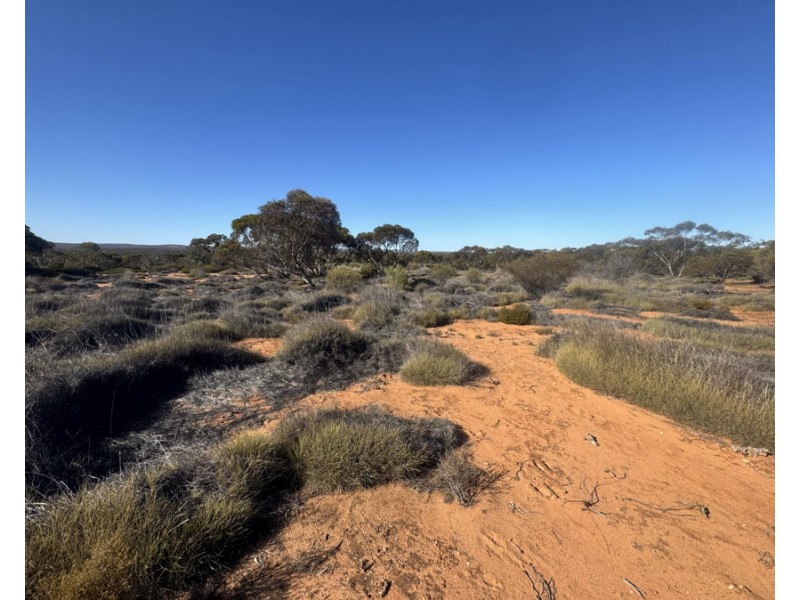 Section 24 Woolford Road, Minbrie SA 5602